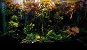 20211204_144039~4.jpg