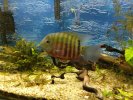 IMG_20240702_170836816.jpg