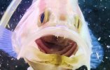 IMG_4346.jpeg