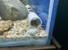 IMG_1436.jpeg