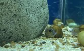 IMG_1448.jpeg