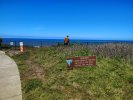 IMG_20260518_125352156_HDR.jpg