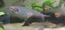 20260705_084323.jpg