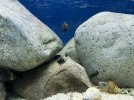 IMG_1601.jpeg