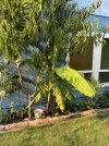 IMG_1662.jpeg
