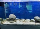 IMG_1704.jpeg
