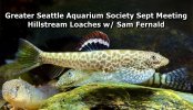 Hillstream Loach 1 w Title.jpg