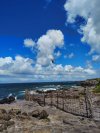 IMG_20260828_131642616_HDR.jpg