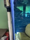 IMG_1790.jpeg