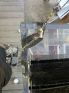IMG_1819.jpeg