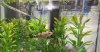 7A2C658D-89BD-439A-98AB-2C9D530F59C5.jpeg