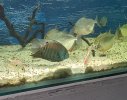 PXL_20210308_200011800~2.jpg