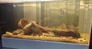 PXL_20210309_033755667~2.jpg