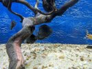 PXL_20211005_000713778.jpg