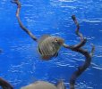 PXL_20211102_190836327._exported_466_1635880314892~2.jpg