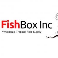 FishBox